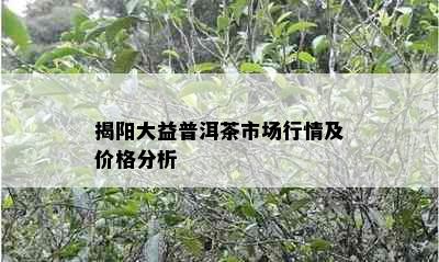 揭阳大益普洱茶市场行情及价格分析