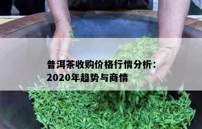 普洱茶收购价格行情分析：2020年趋势与商情