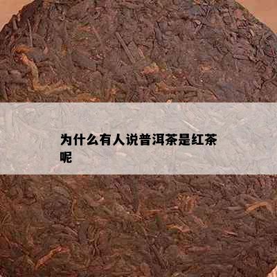 为什么有人说普洱茶是红茶呢