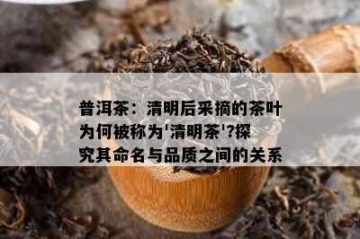 普洱茶：清明后采摘的茶叶为何被称为'清明茶'?探究其命名与品质之间的关系