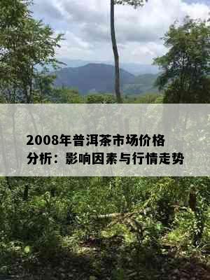 2008年普洱茶市场价格分析：影响因素与行情走势