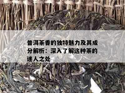 普洱茶香的独特魅力及其成分解析：深入了解这种茶的迷人之处