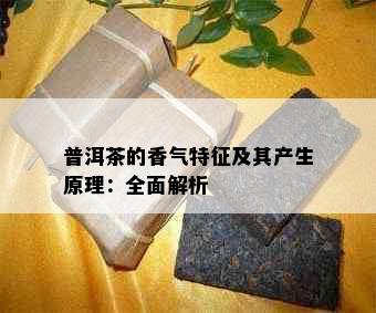 普洱茶的香气特征及其产生原理：全面解析