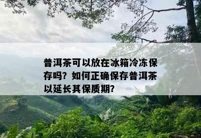 普洱茶可以放在冰箱冷冻保存吗？如何正确保存普洱茶以延长其保质期？