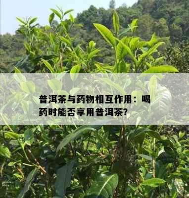 普洱茶与物相互作用：喝时能否享用普洱茶？