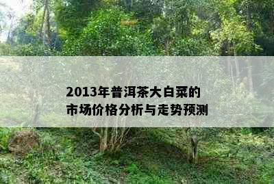 2013年普洱茶大白菜的市场价格分析与走势预测