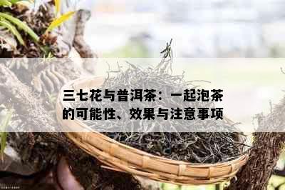 三七花与普洱茶：一起泡茶的可能性、效果与注意事项