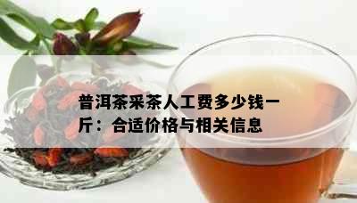 普洱茶采茶人工费多少钱一斤：合适价格与相关信息