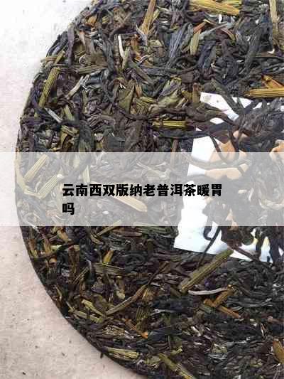 云南西双版纳老普洱茶暖胃吗