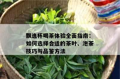 飘逸杯喝茶体验全面指南：如何选择合适的茶叶、泡茶技巧与品鉴方法