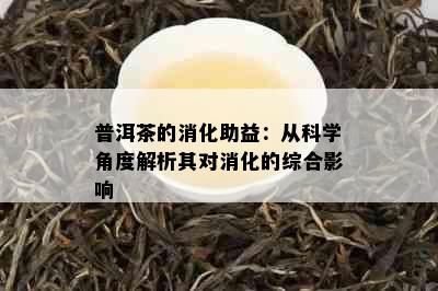 普洱茶的消化助益：从科学角度解析其对消化的综合影响