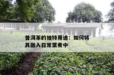 普洱茶的独特用途：如何将其融入日常菜肴中