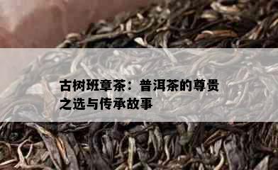 古树班章茶：普洱茶的尊贵之选与传承故事