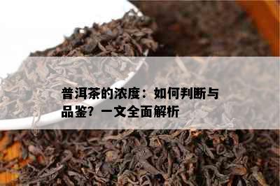 普洱茶的浓度：如何判断与品鉴？一文全面解析