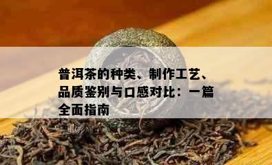 普洱茶的种类、制作工艺、品质鉴别与口感对比：一篇全面指南