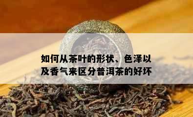 如何从茶叶的形状、色泽以及香气来区分普洱茶的好坏