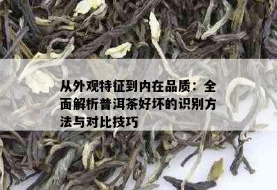 从外观特征到内在品质：全面解析普洱茶好坏的识别方法与对比技巧