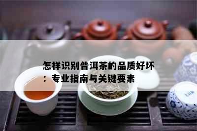 怎样识别普洱茶的品质好坏：专业指南与关键要素