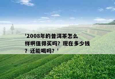 '2008年的普洱茶怎么样啊值得买吗？现在多少钱？还能喝吗？'