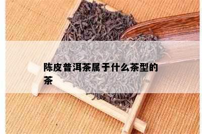 陈皮普洱茶属于什么茶型的茶