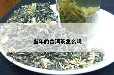 当年的普洱茶怎么喝