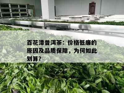 百花潭普洱茶：价格低廉的原因及品质保障，为何如此划算？