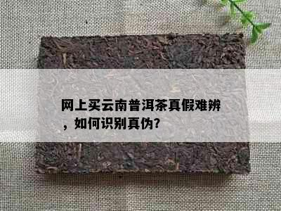 网上买云南普洱茶真假难辨，如何识别真伪？