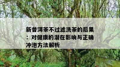 新普洱茶不过滤洗茶的后果：对健康的潜在影响与正确冲泡方法解析