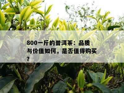 800一斤的普洱茶：品质与价值如何，是否值得购买？