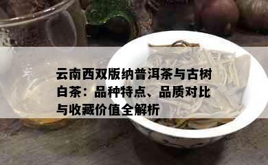 云南西双版纳普洱茶与古树白茶：品种特点、品质对比与收藏价值全解析