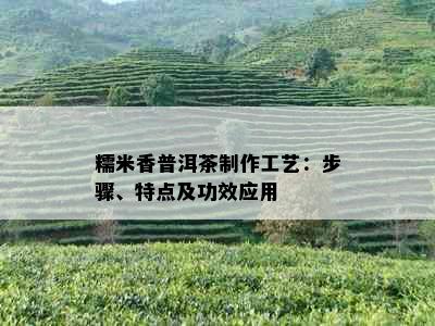 糯米香普洱茶制作工艺：步骤、特点及功效应用