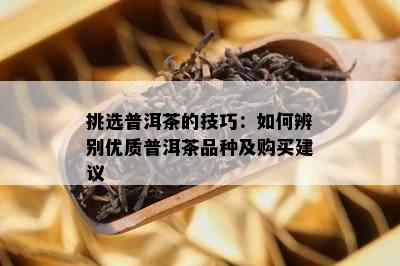 挑选普洱茶的技巧：如何辨别优质普洱茶品种及购买建议