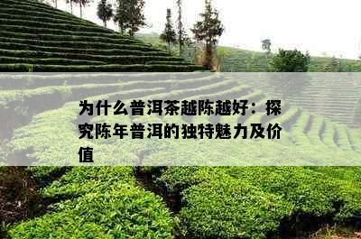 为什么普洱茶越陈越好：探究陈年普洱的独特魅力及价值