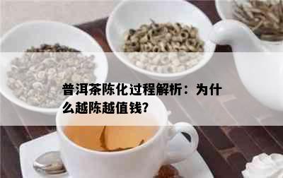 普洱茶陈化过程解析：为什么越陈越值钱？