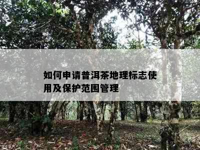 如何申请普洱茶地理标志使用及保护范围管理