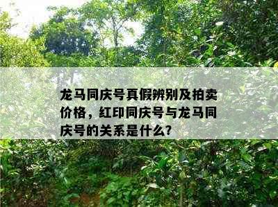 龙马同庆号真假辨别及拍卖价格，红印同庆号与龙马同庆号的关系是什么？