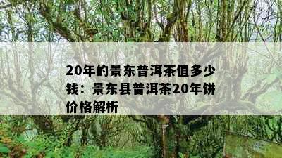 20年的景东普洱茶值多少钱：景东县普洱茶20年饼价格解析