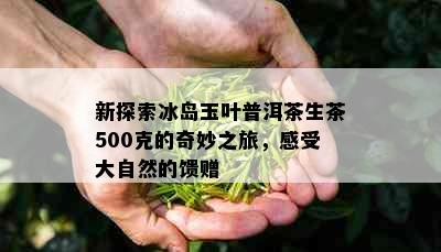 新探索冰岛玉叶普洱茶生茶500克的奇妙之旅，感受大自然的馈赠