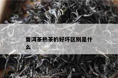 普洱茶熟茶的好坏区别是什么