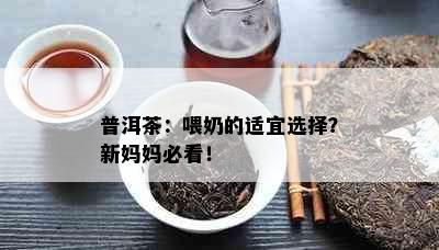 普洱茶：喂奶的适宜选择？新妈妈必看！