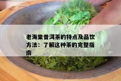 老海棠普洱茶的特点及品饮方法：了解这种茶的完整指南