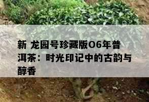 新 龙园号珍藏版O6年普洱茶：时光印记中的古韵与醇香