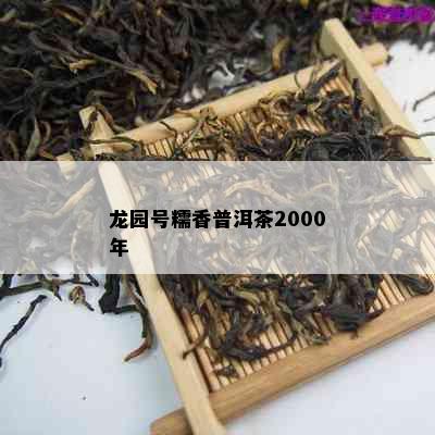 龙园号糯香普洱茶2000年