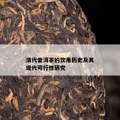 清代普洱茶的饮用历史及其现代可行性研究