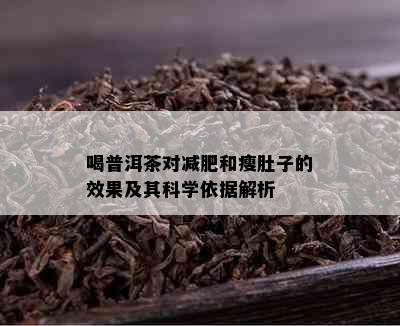 喝普洱茶对减肥和瘦肚子的效果及其科学依据解析