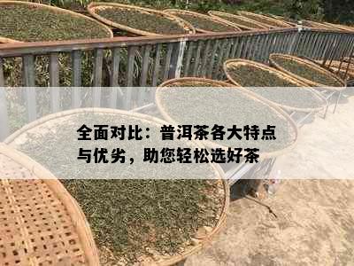 全面对比：普洱茶各大特点与优劣，助您轻松选好茶