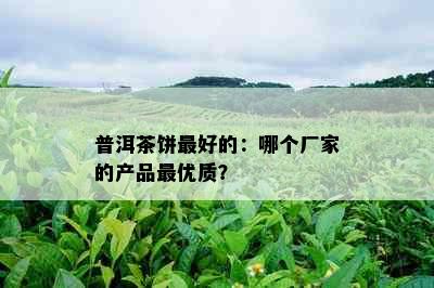 普洱茶饼更好的：哪个厂家的产品更优质？