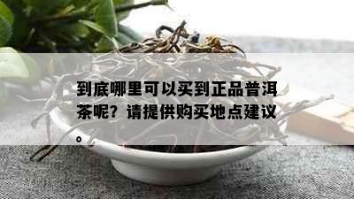 到底哪里可以买到正品普洱茶呢？请提供购买地点建议。