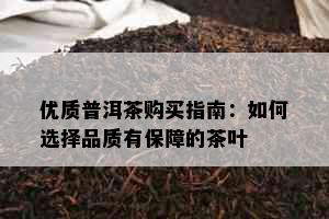 优质普洱茶购买指南：如何选择品质有保障的茶叶