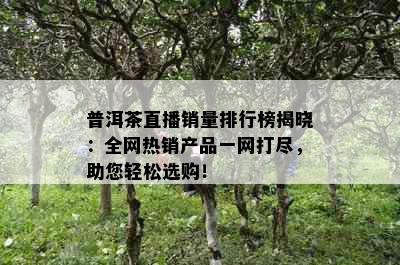 普洱茶直播销量排行榜揭晓：全网热销产品一网打尽，助您轻松选购！